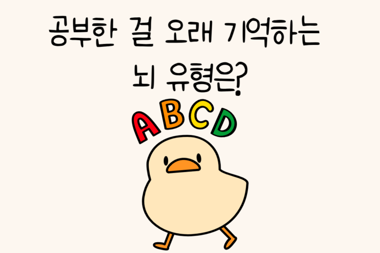 공부한 걸 오래 기억하는 뇌 유형은?