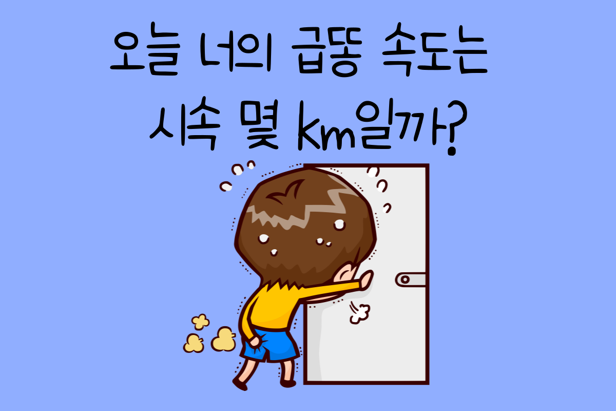 일상 테스트
