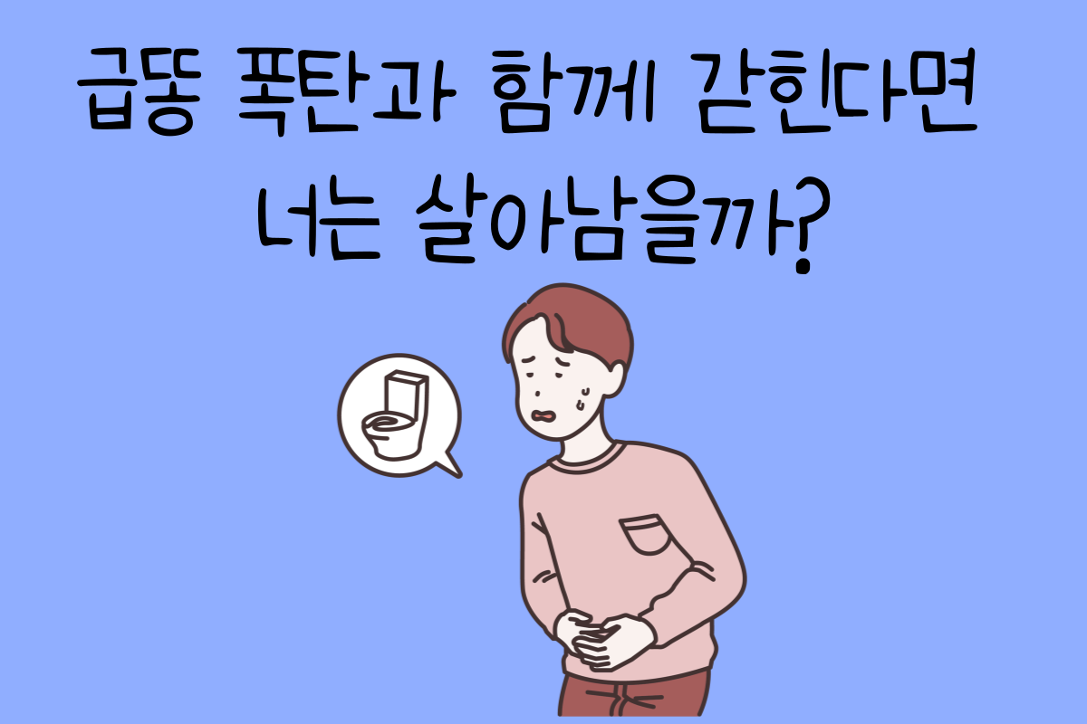 일상 테스트