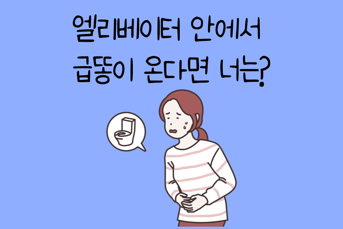 일상 테스트