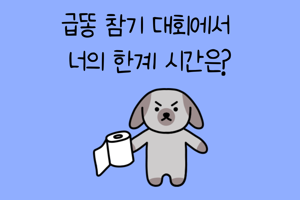 일상 테스트