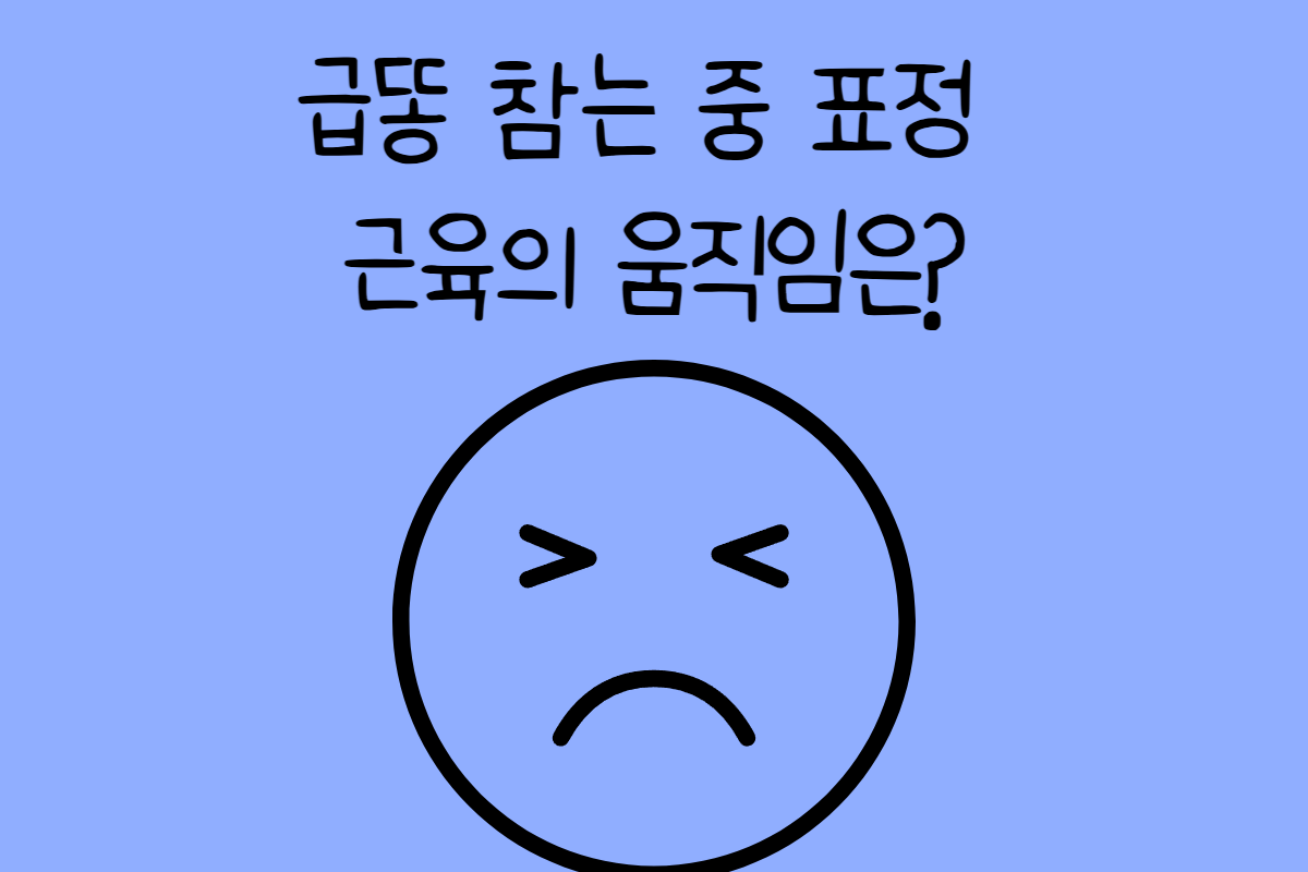 일상 테스트