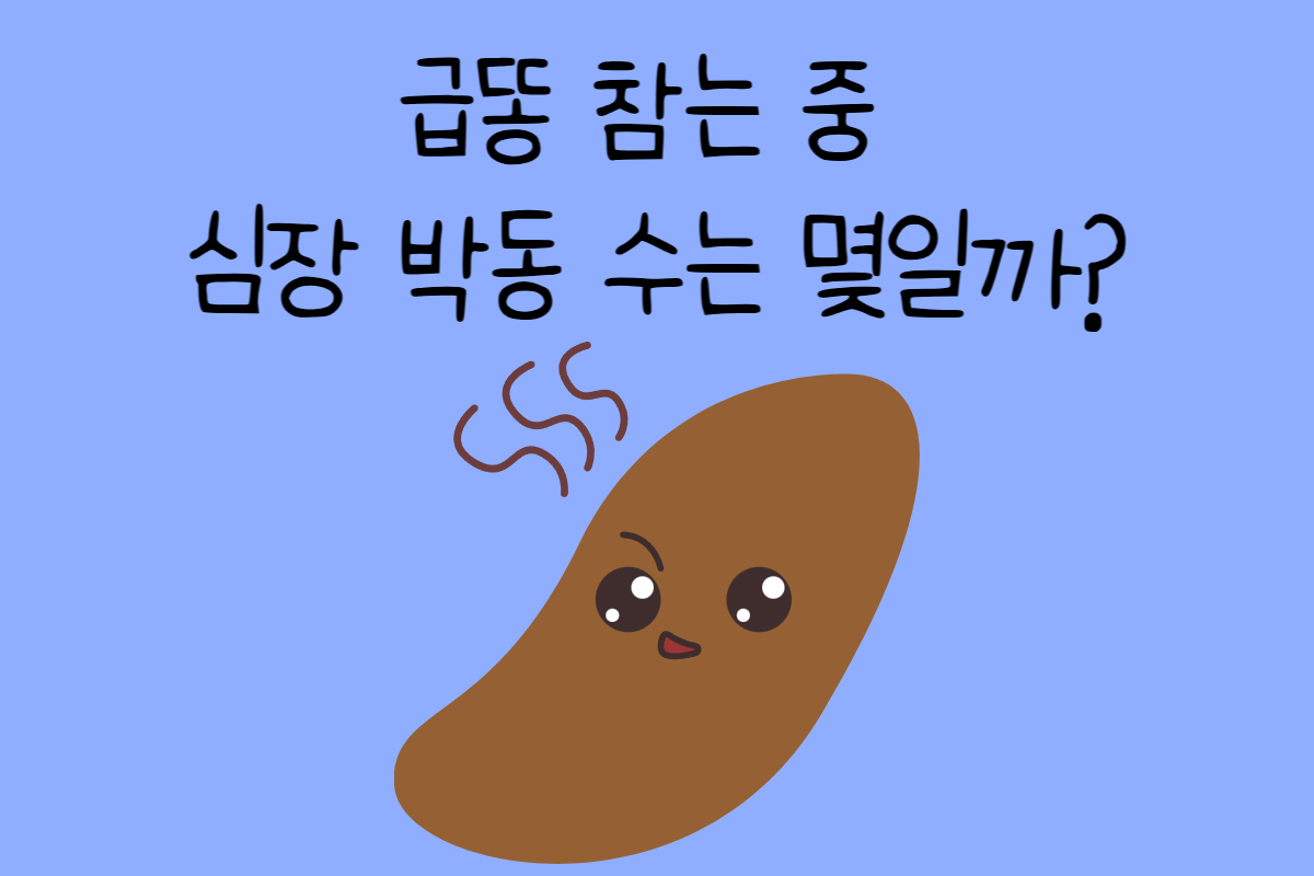 일상 테스트