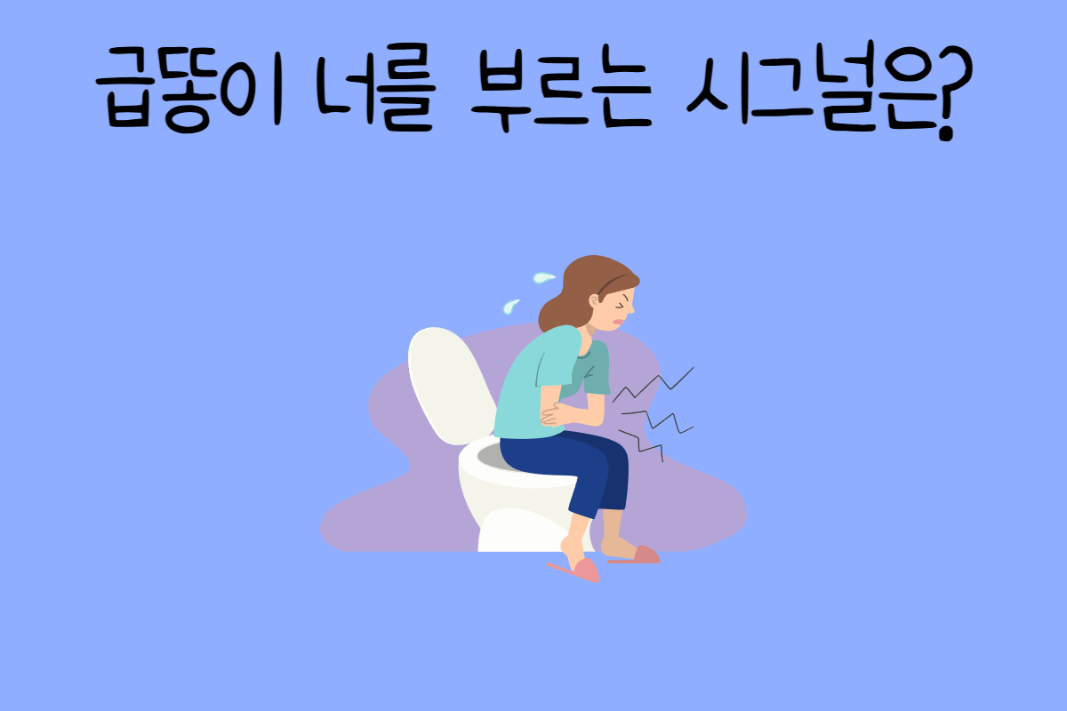 일상 테스트