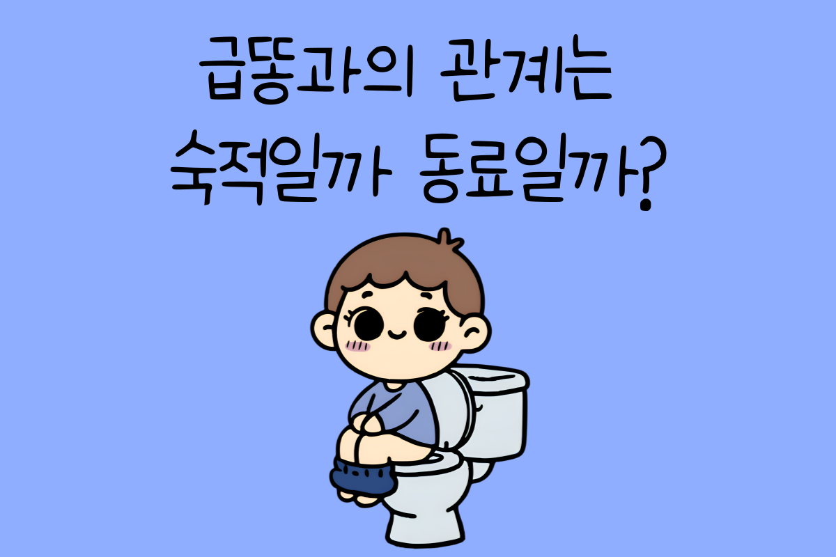 일상 테스트