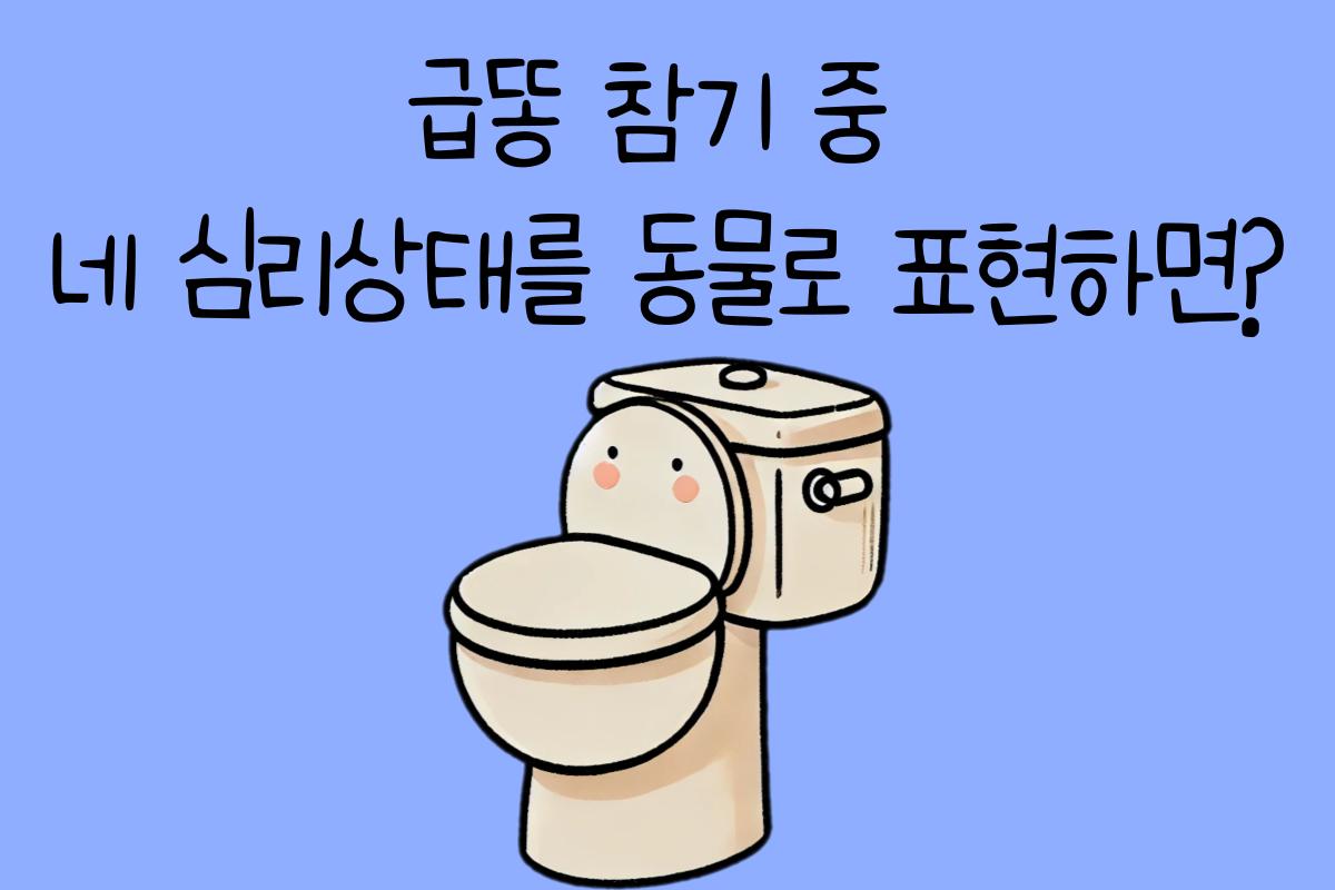 일상 테스트