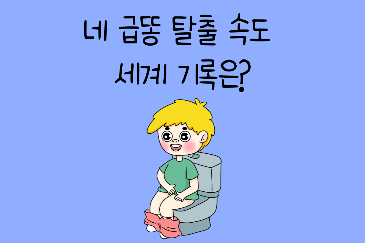 일상 테스트