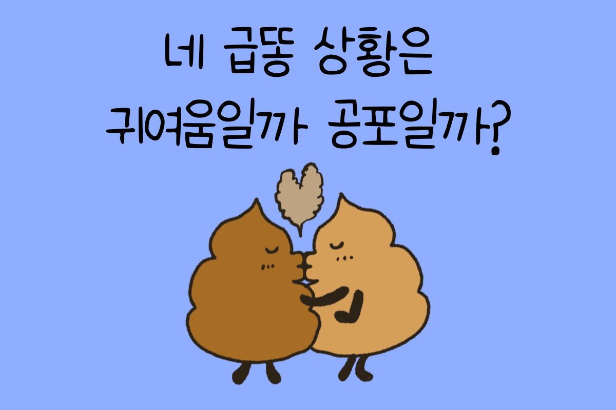 일상 테스트