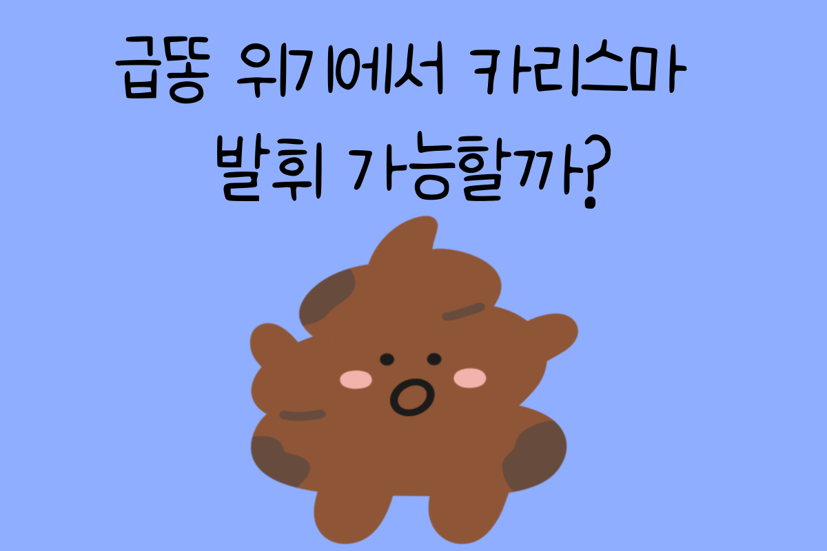 일상 테스트