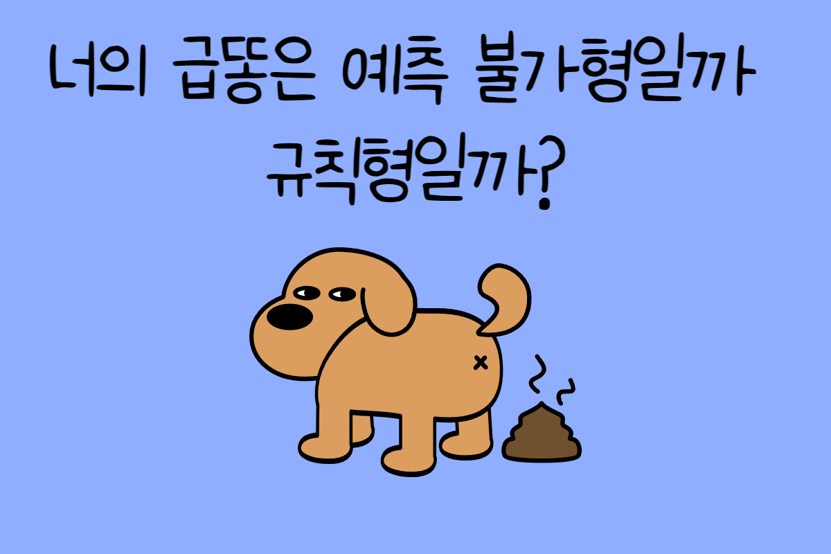 일상 테스트