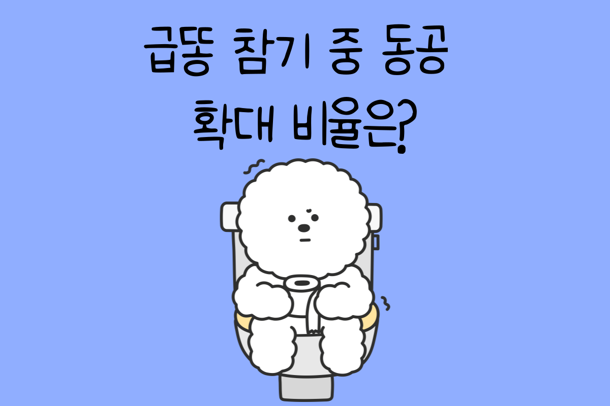 일상 테스트