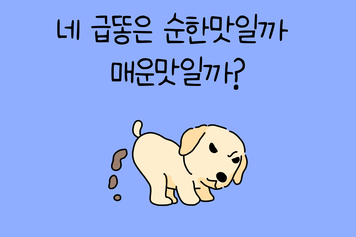 일상 테스트