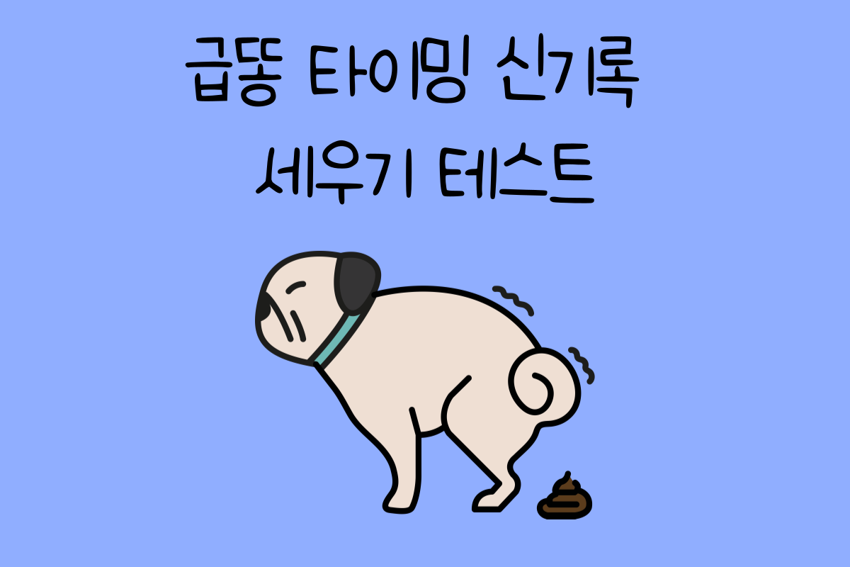 일상 테스트