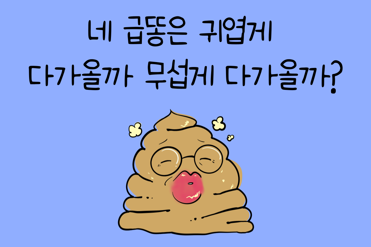 일상 테스트