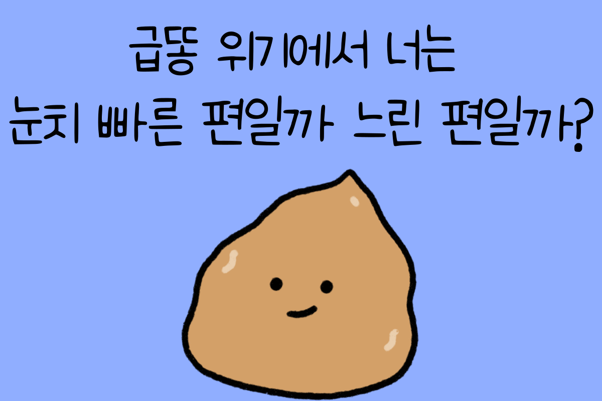 일상 테스트