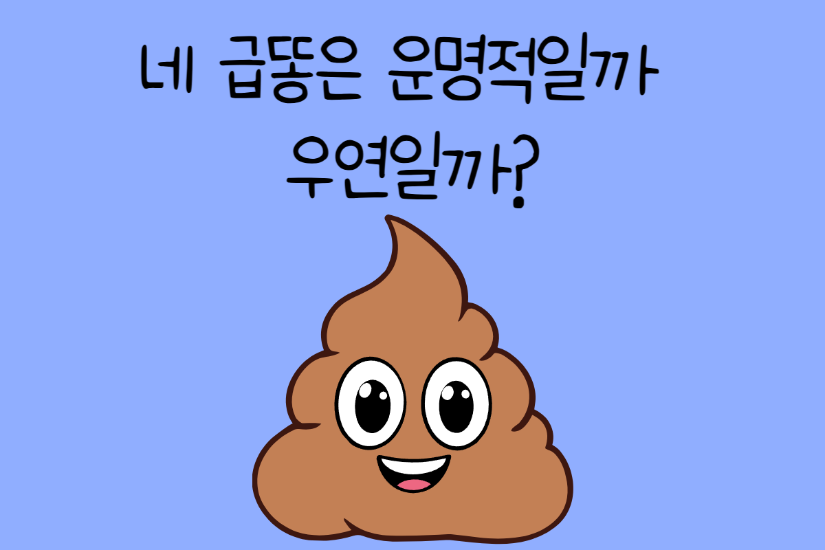 일상 테스트