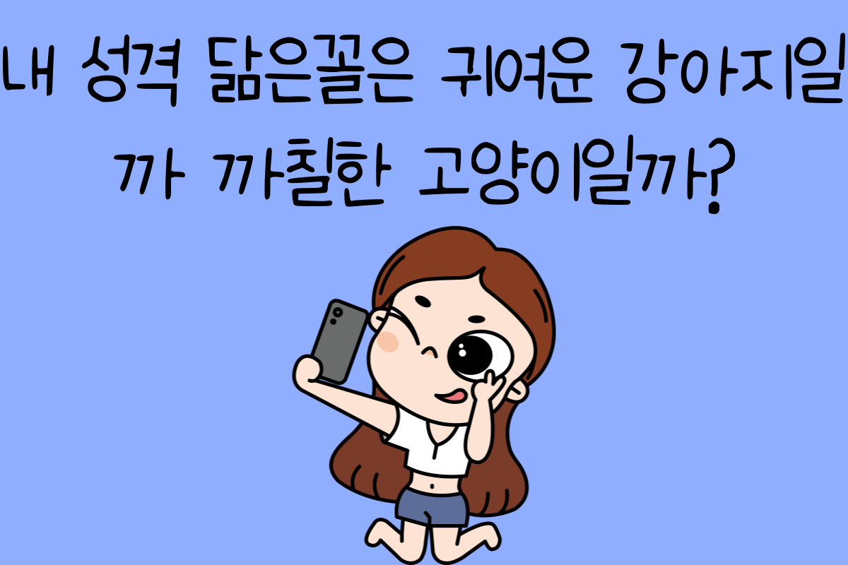 일상 테스트
