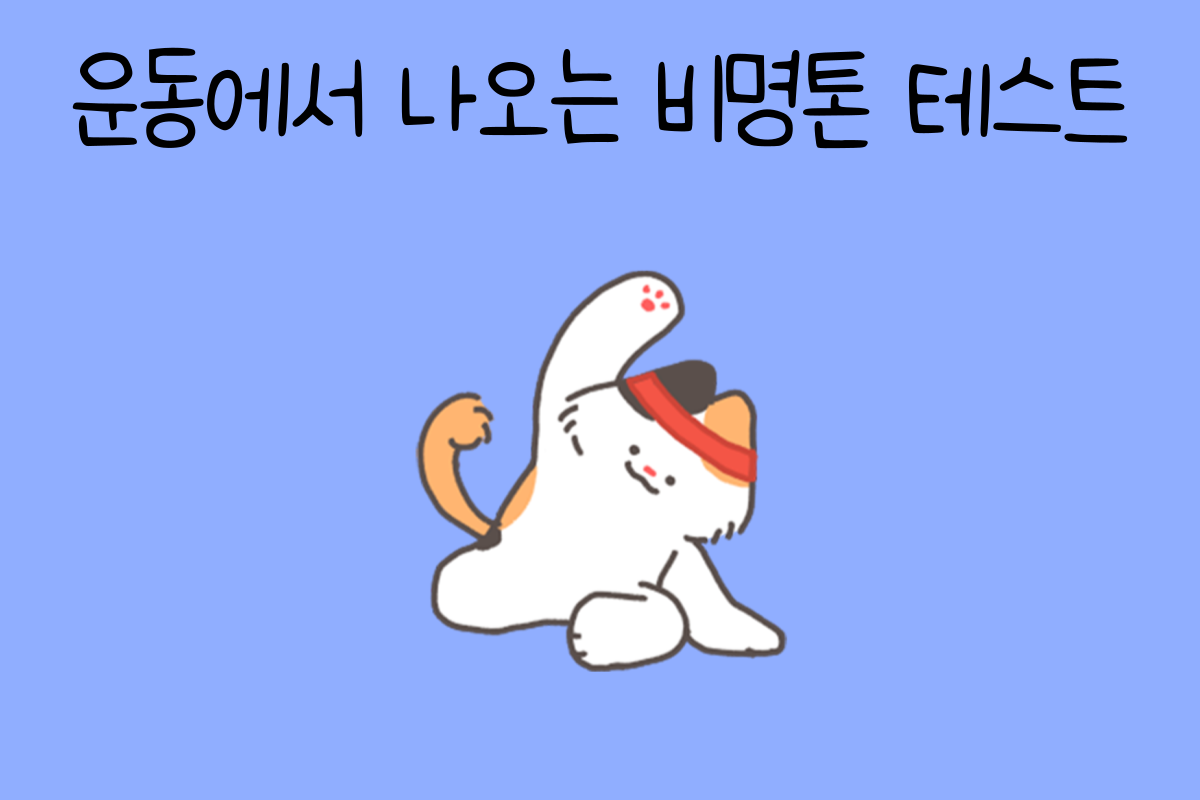 일상 테스트