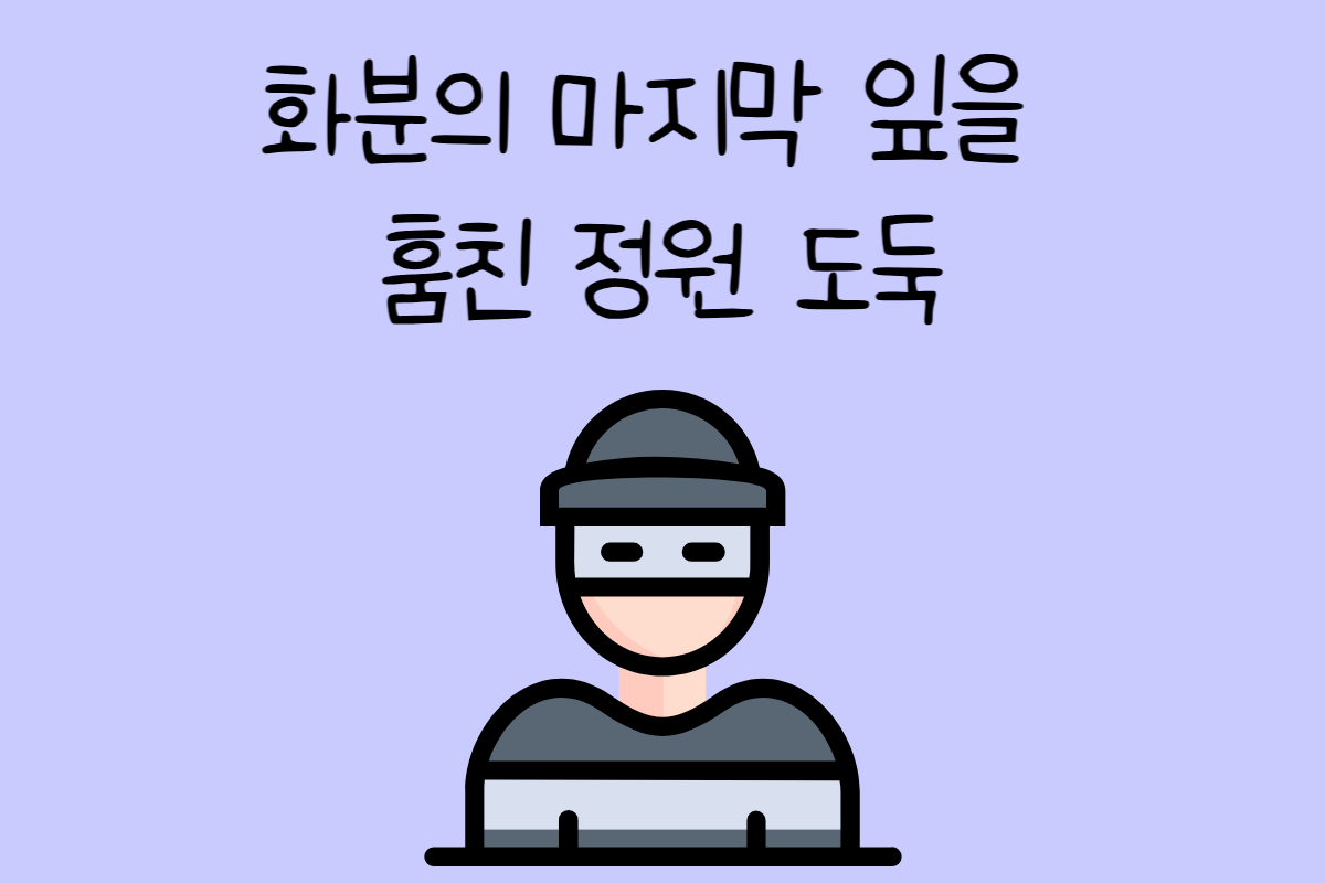 일상 테스트
