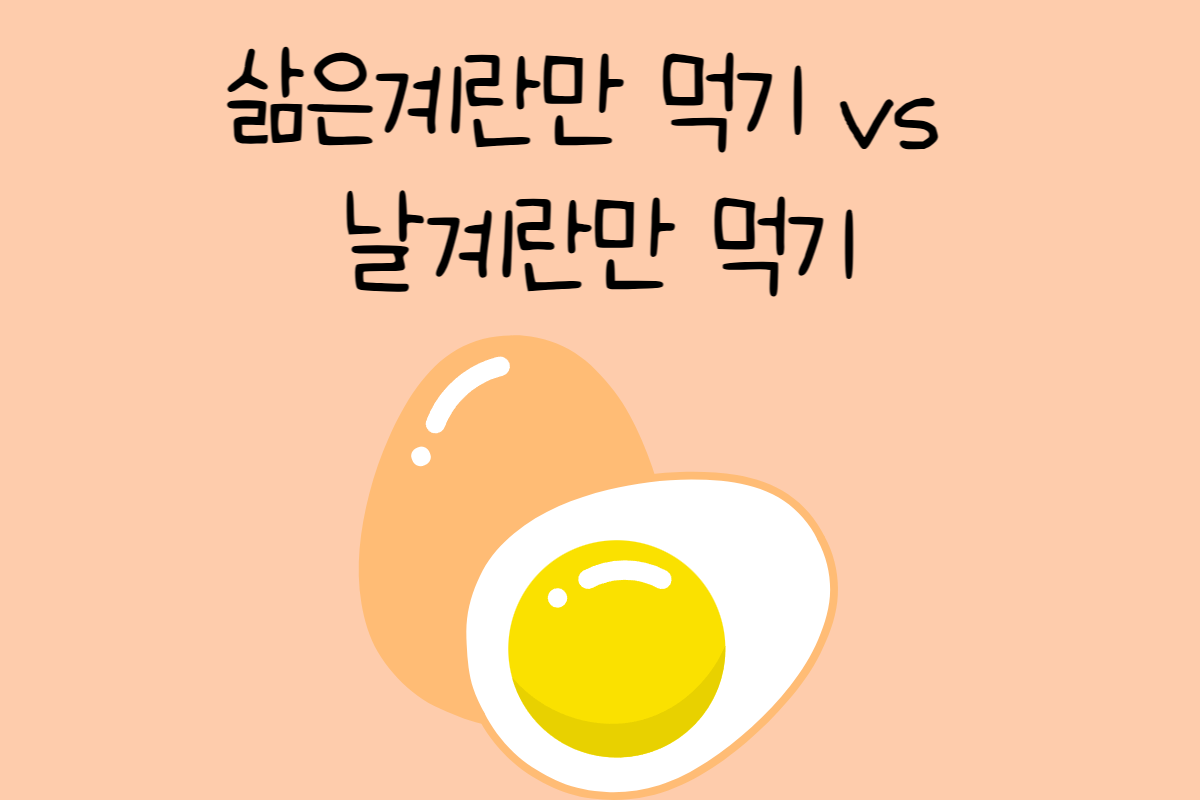 일상 테스트