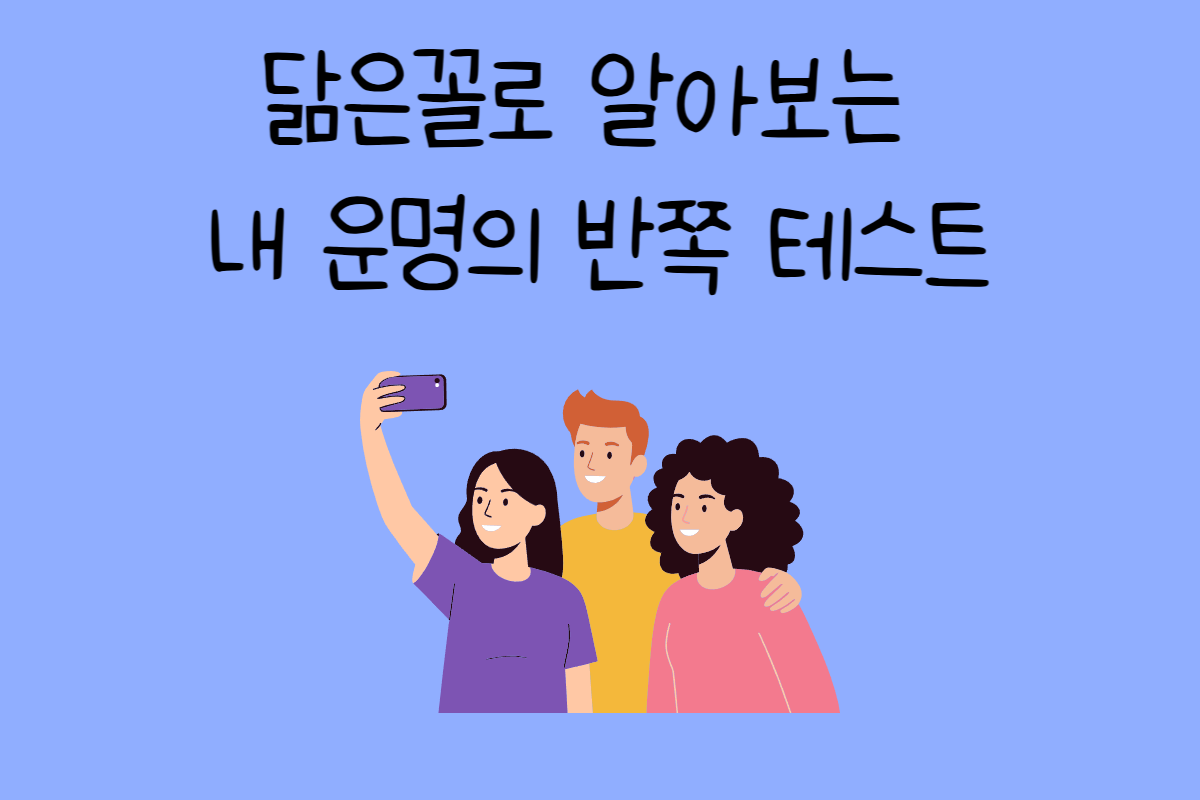 일상 테스트