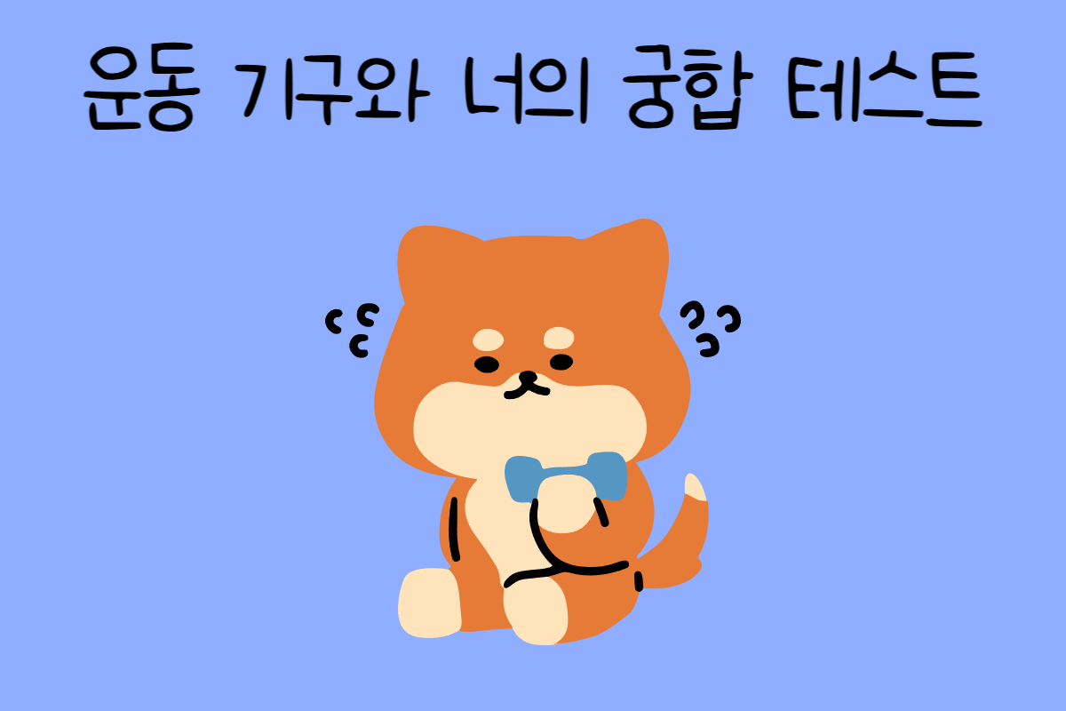 일상 테스트