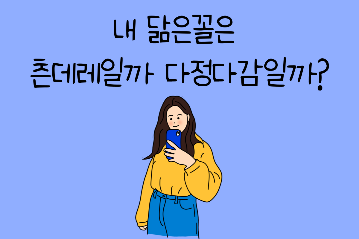 일상 테스트