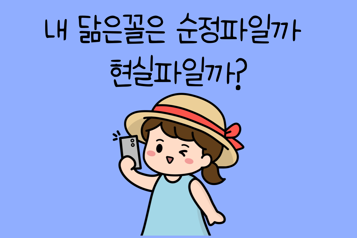 일상 테스트