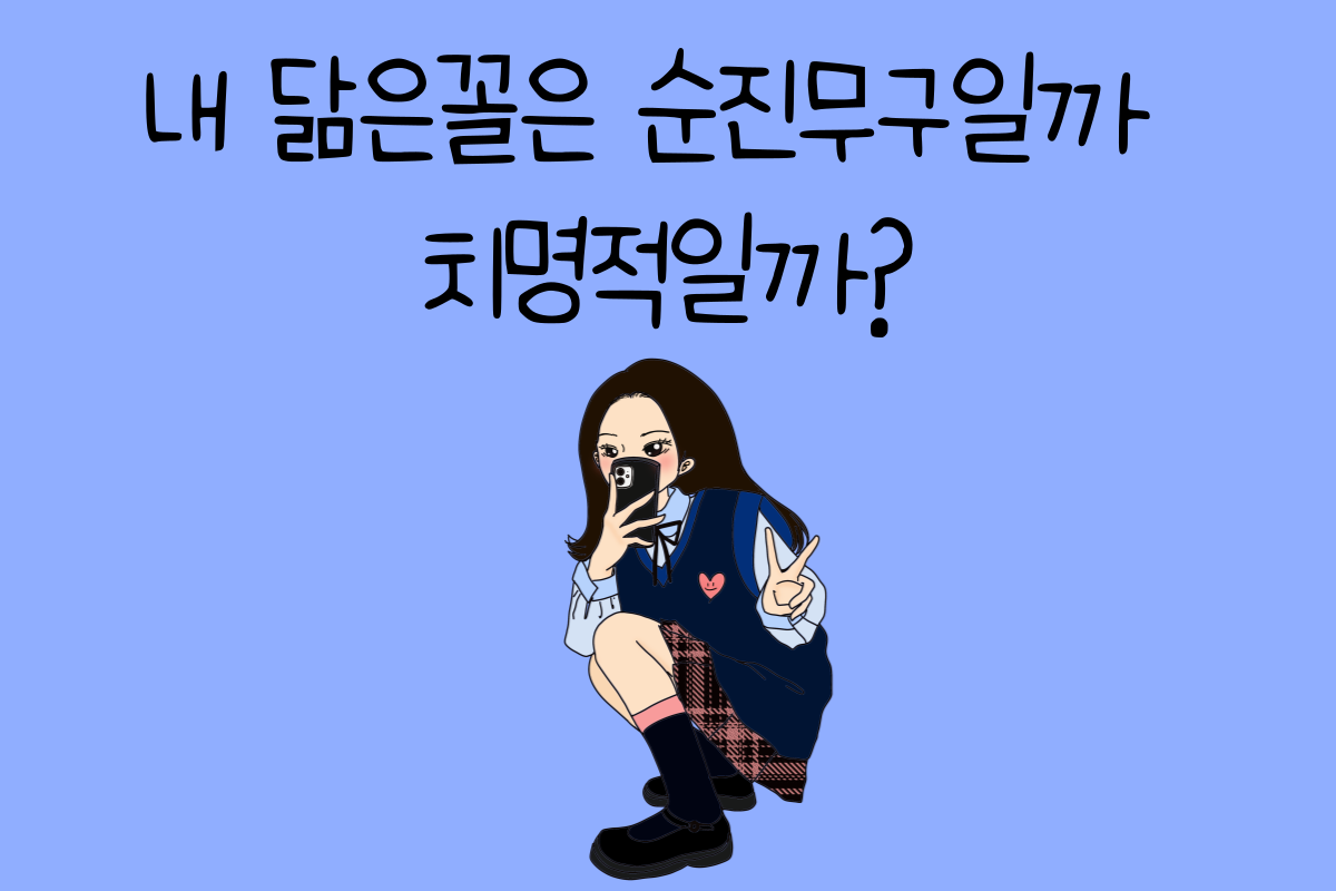 일상 테스트