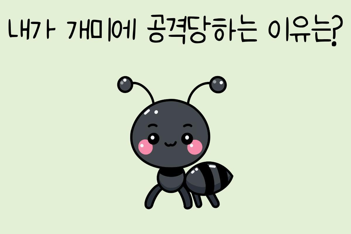룰렛 이미지