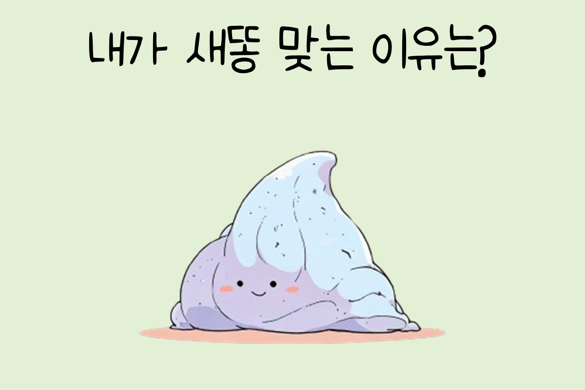 룰렛 이미지