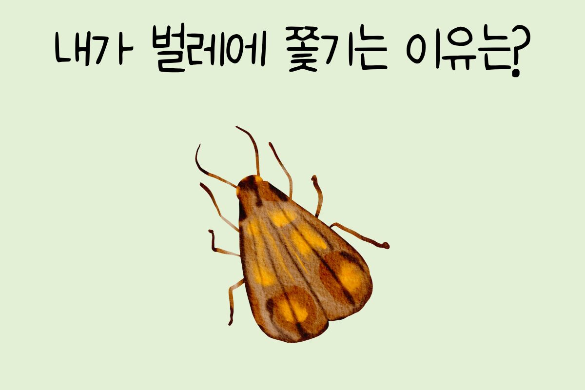 룰렛 이미지
