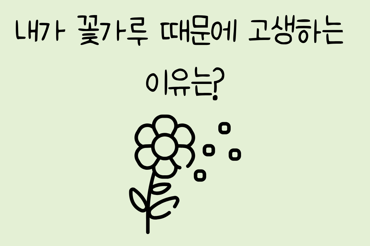 룰렛 이미지