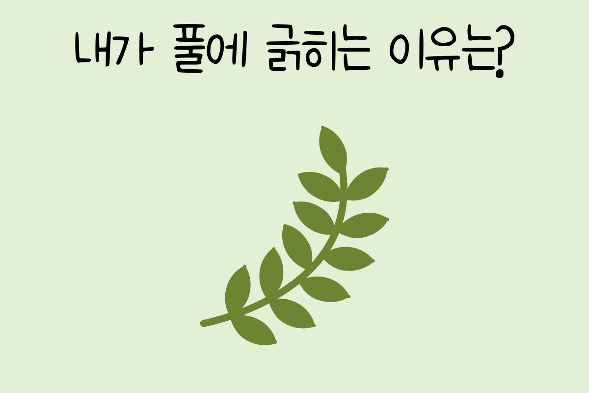룰렛 이미지