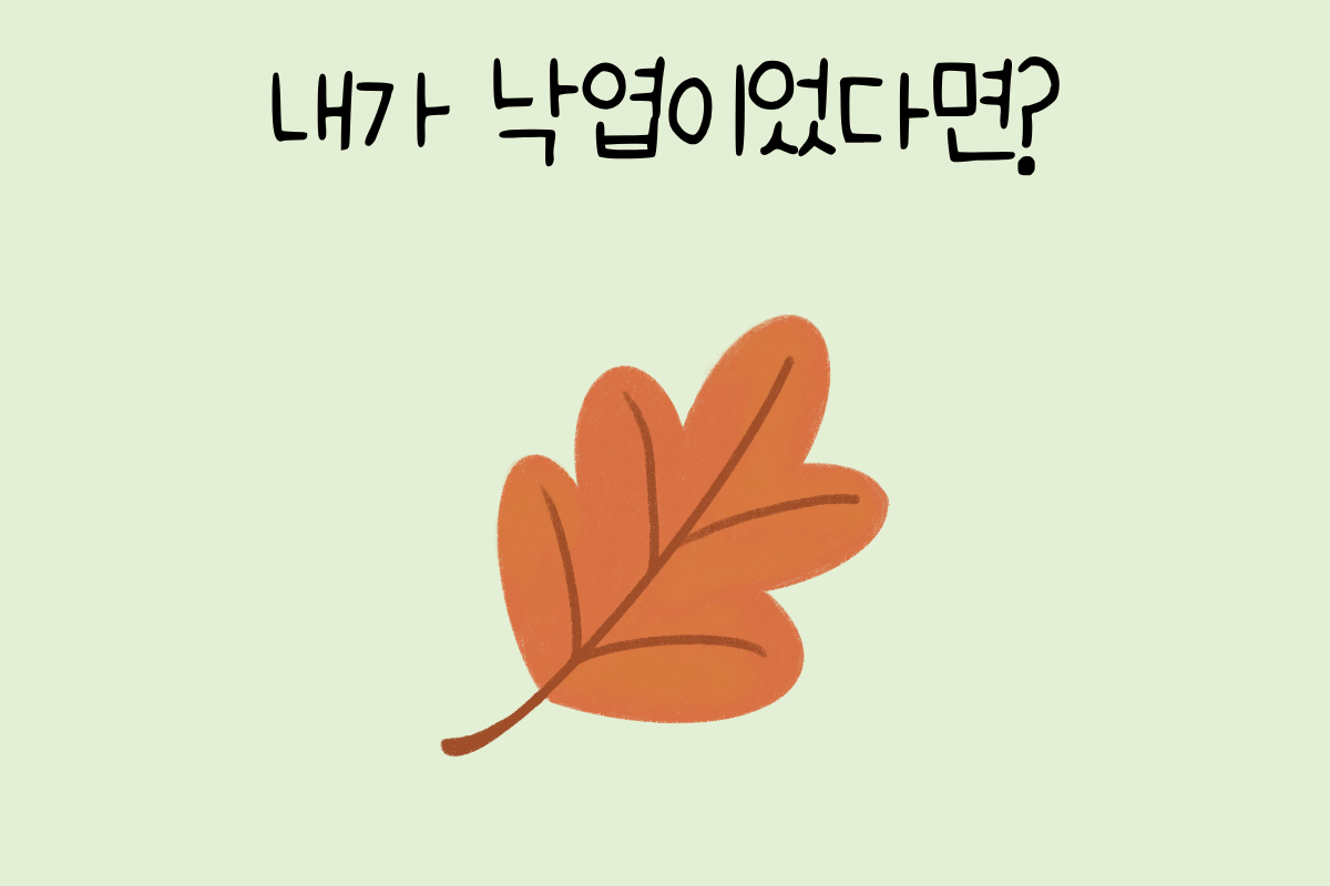 룰렛 이미지