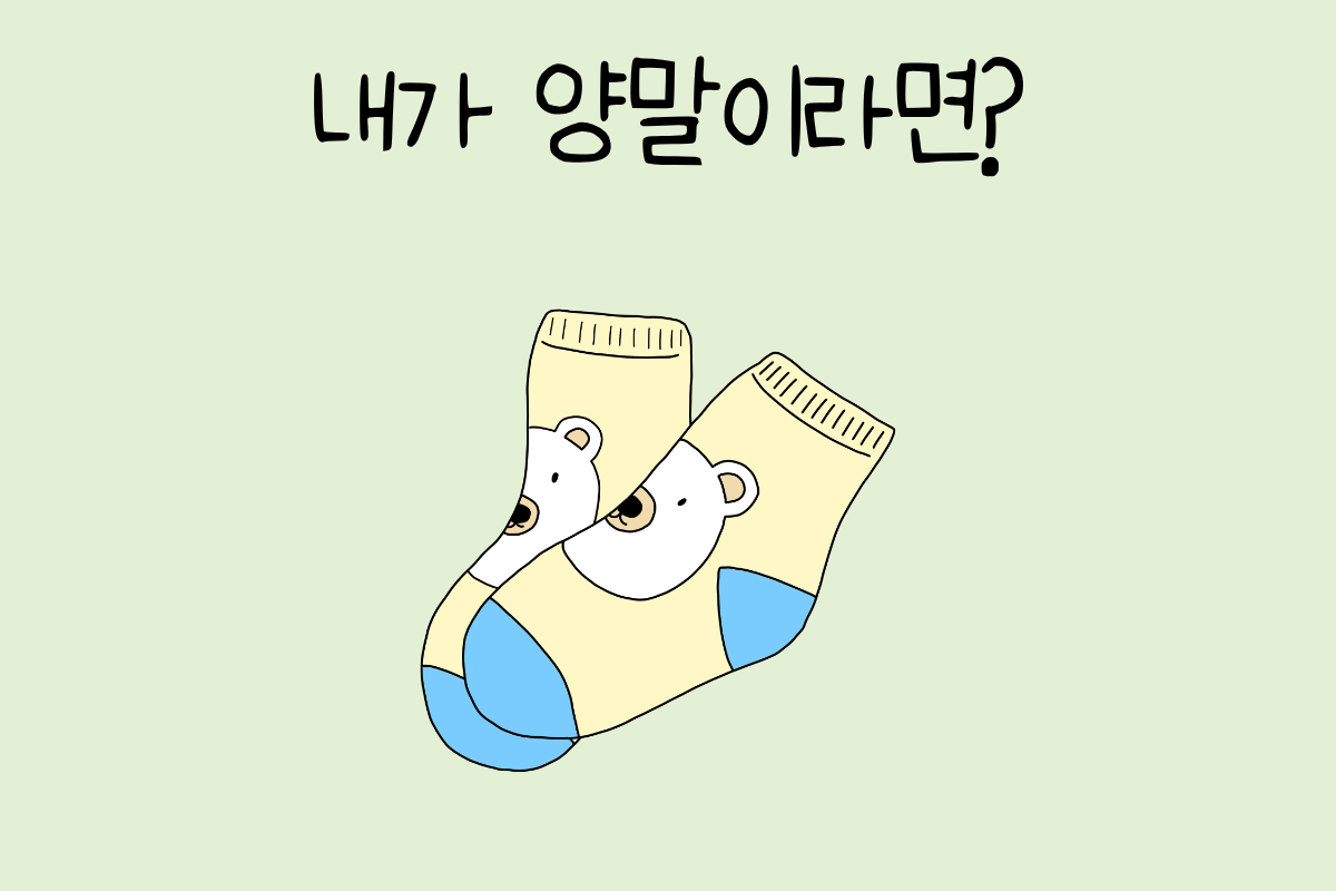 룰렛 이미지