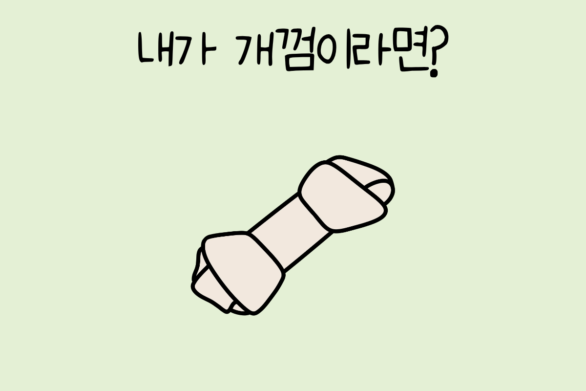 룰렛 이미지