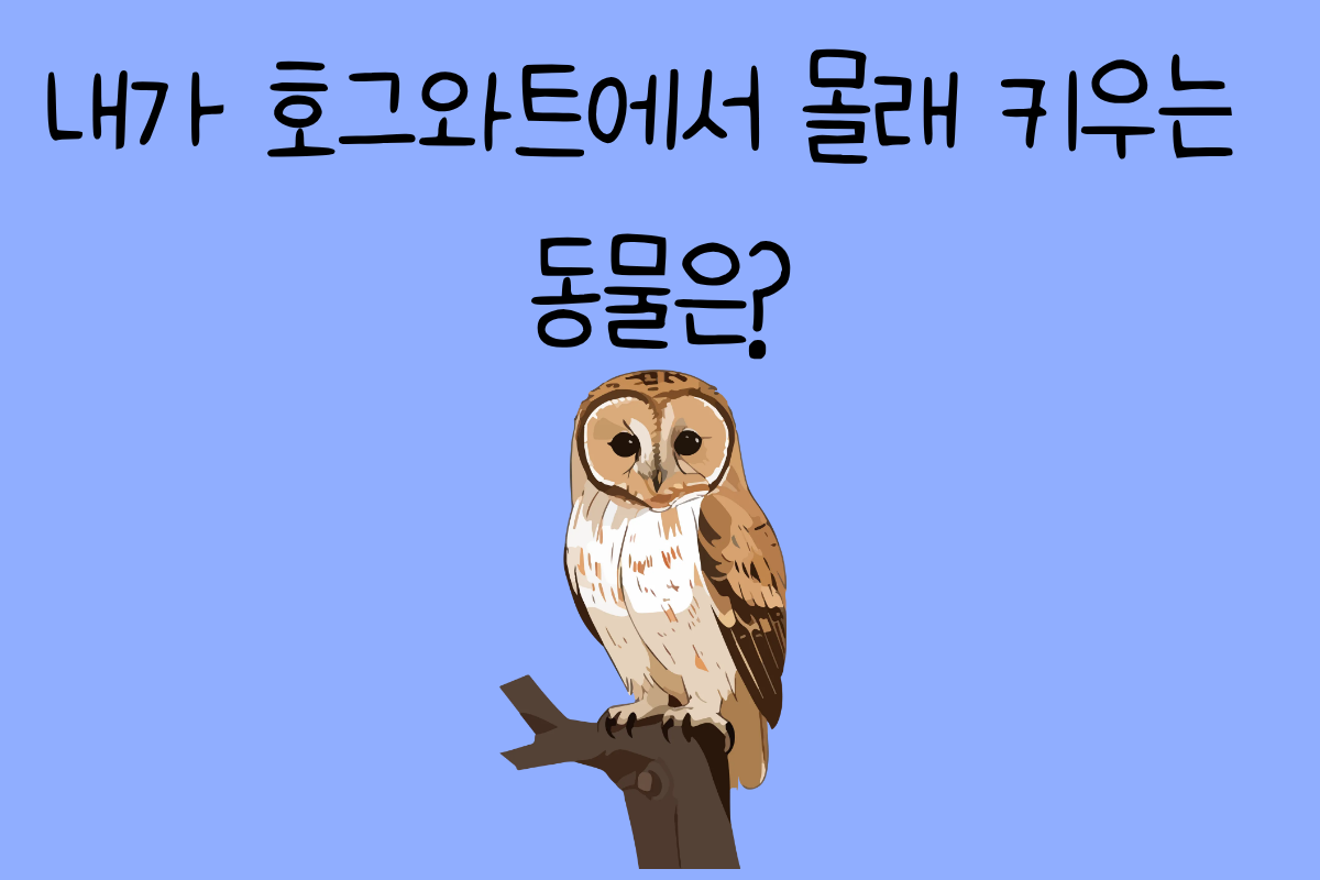 일상 테스트