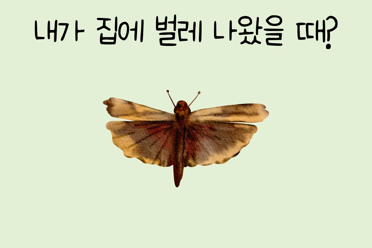 룰렛 이미지