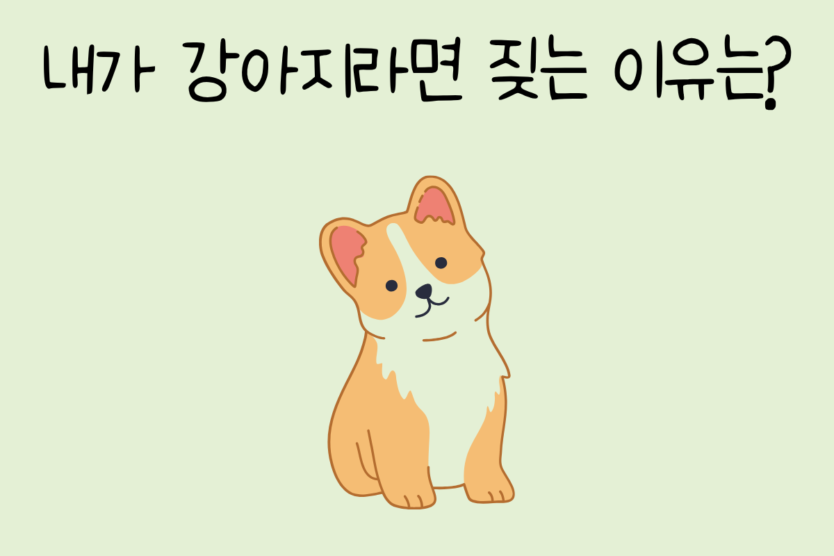 룰렛 이미지
