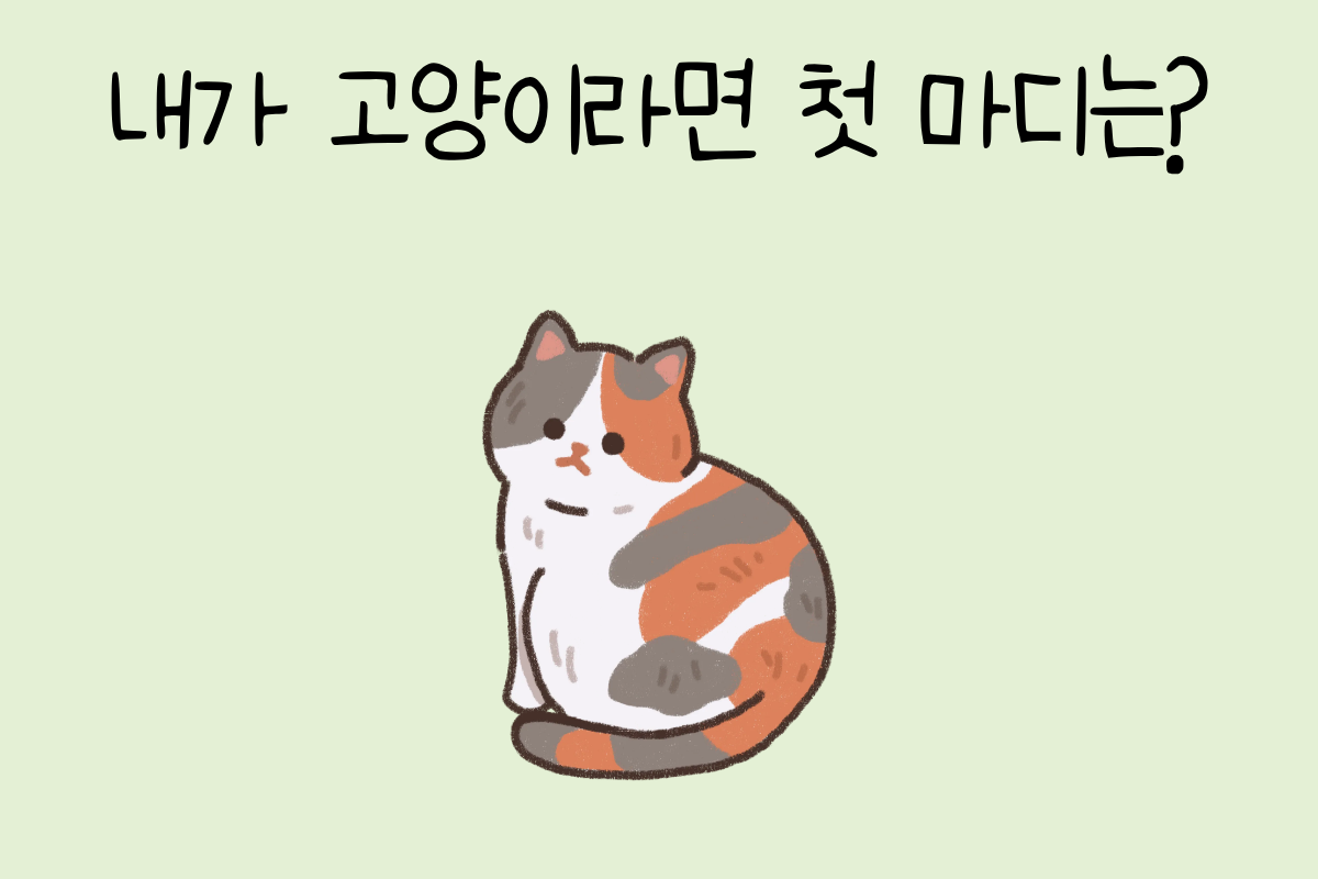 룰렛 이미지