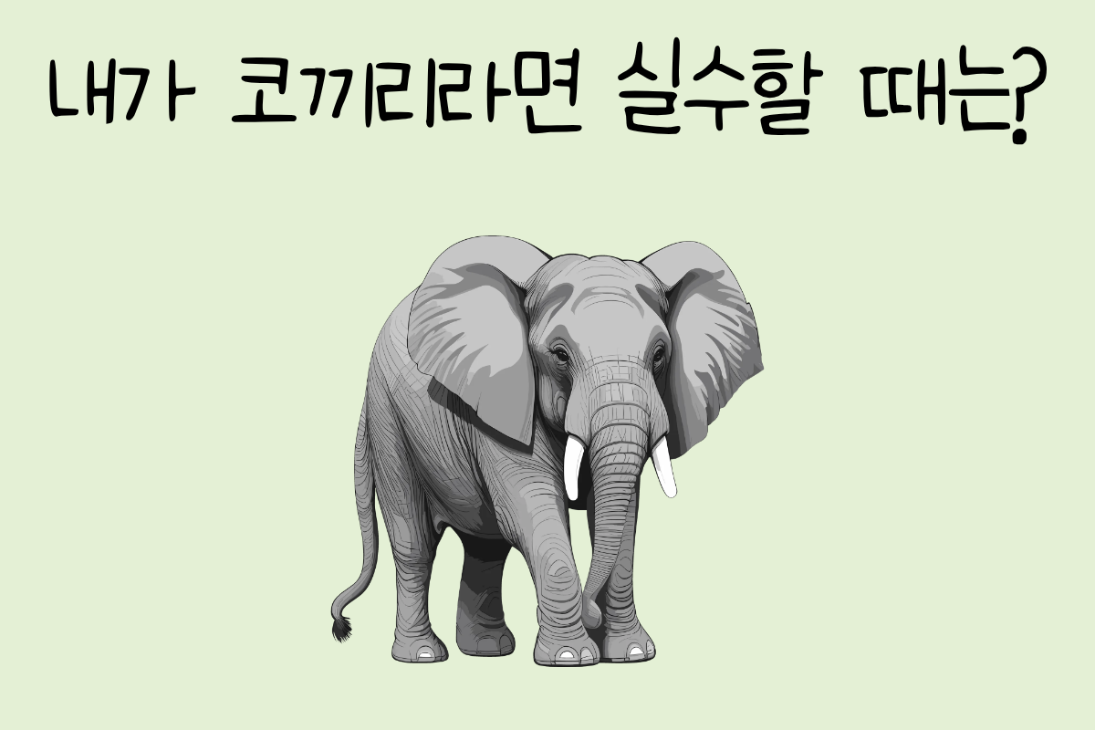 룰렛 이미지