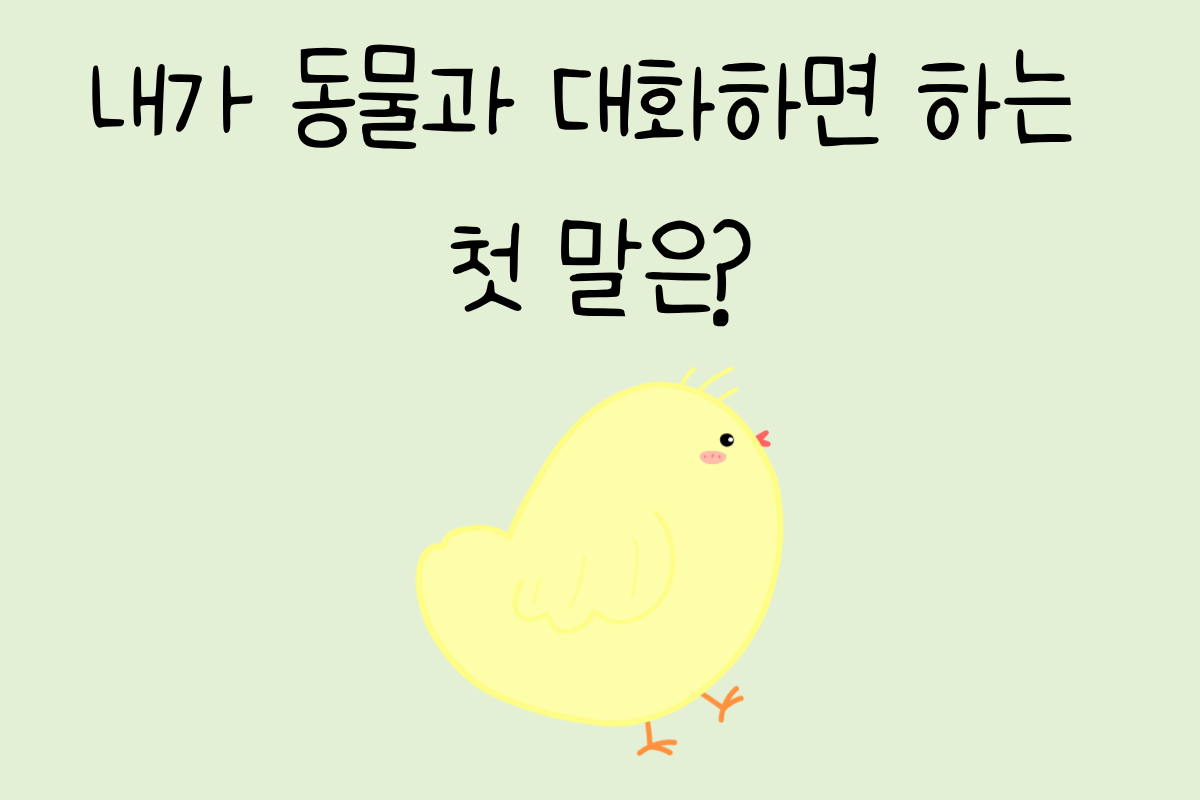 룰렛 이미지