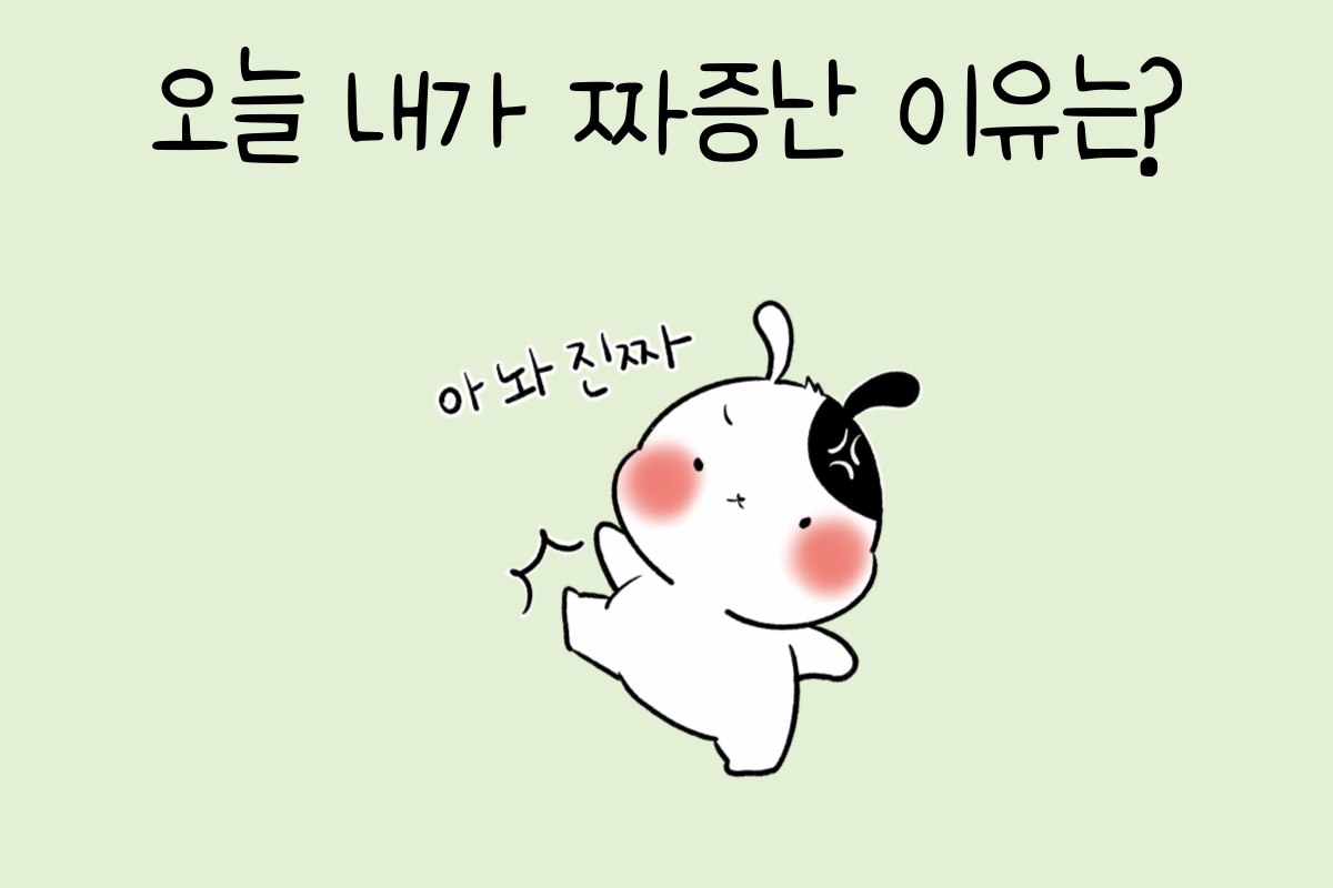 룰렛 이미지