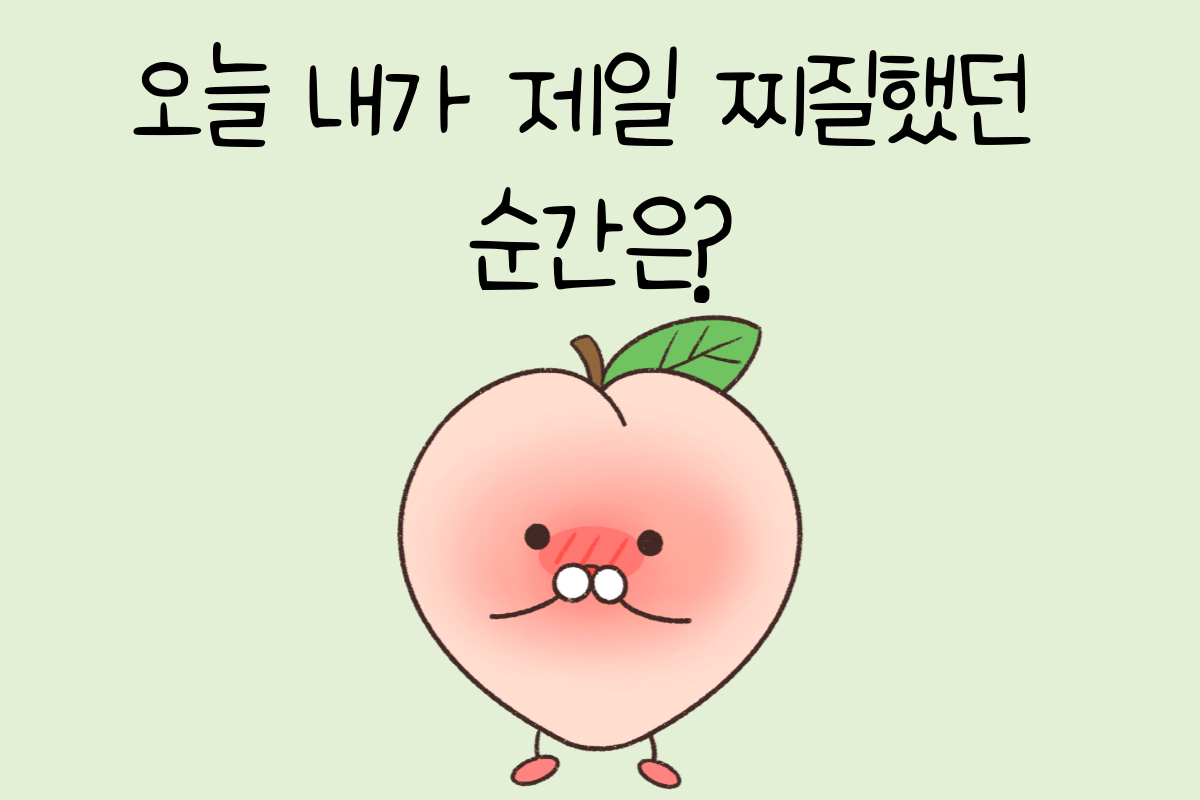 룰렛 이미지