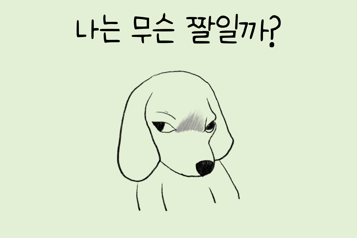 룰렛 이미지