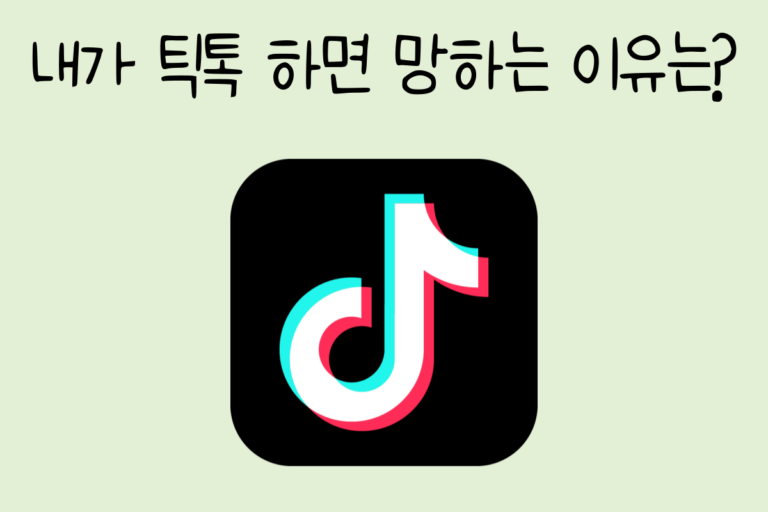 내가 틱톡 하면 망하는 이유는?