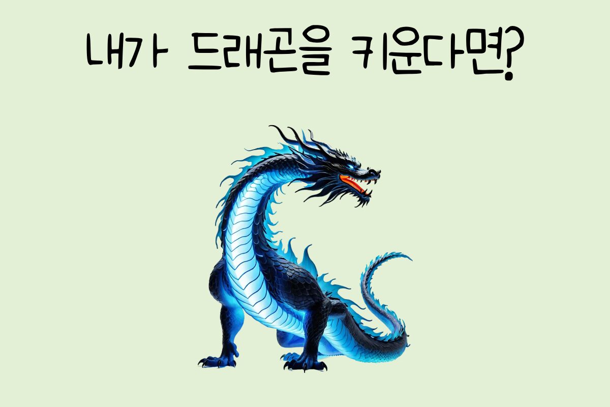 룰렛 이미지