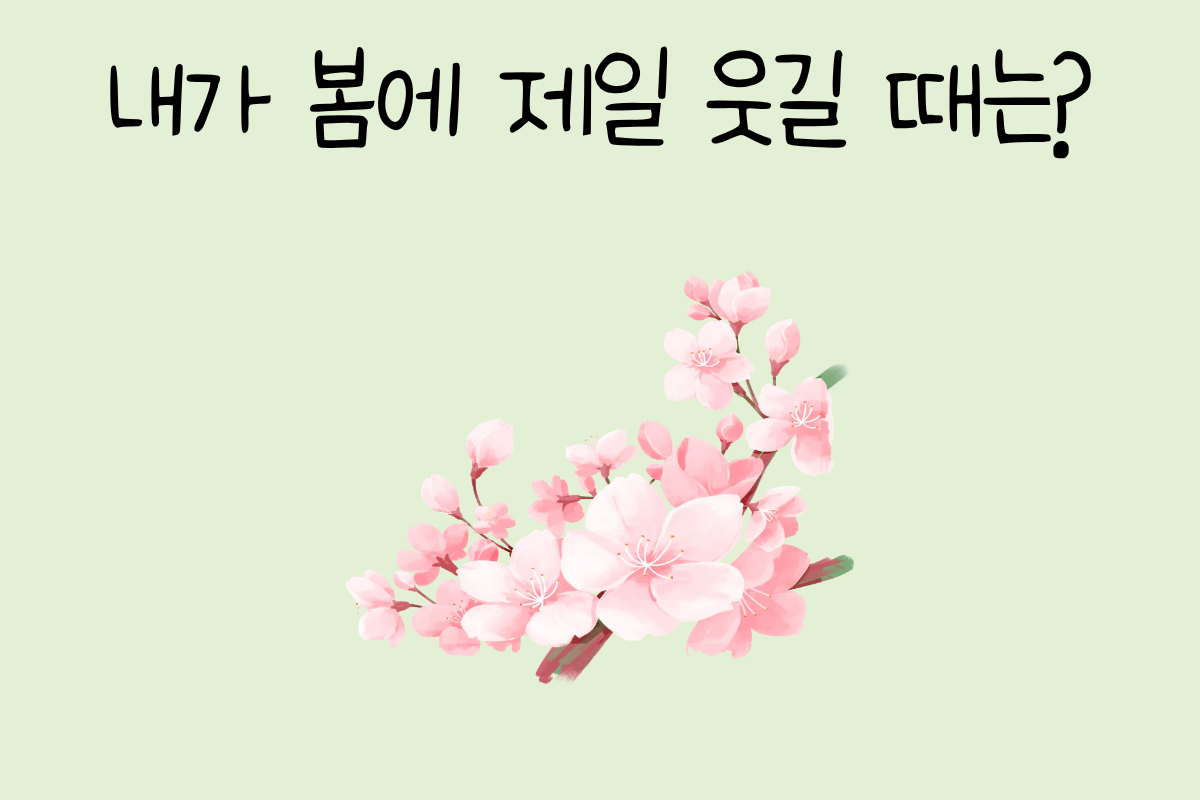 룰렛 이미지