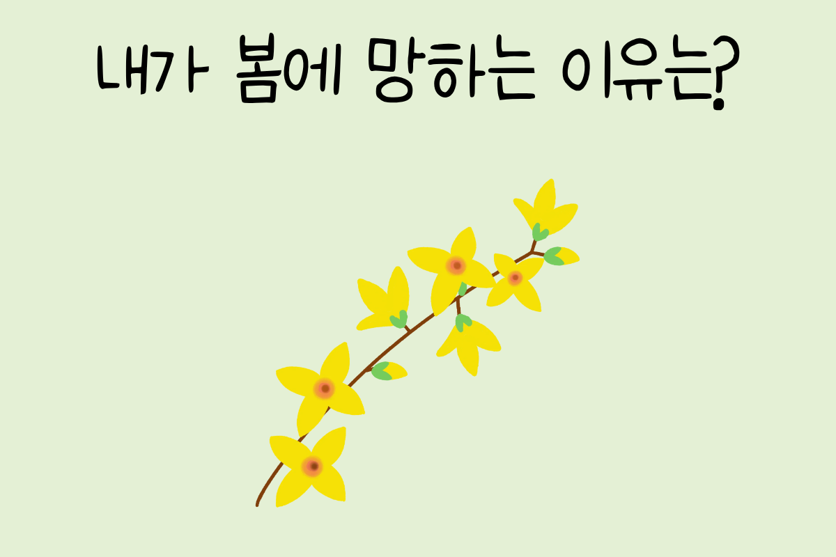룰렛 이미지